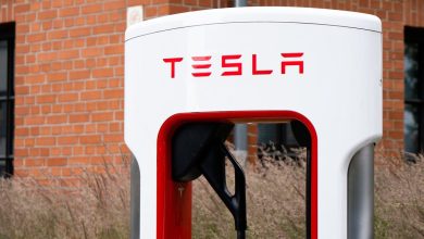 Sorge um E-Autos? Deutsche Kunden lassen Tesla links liegen